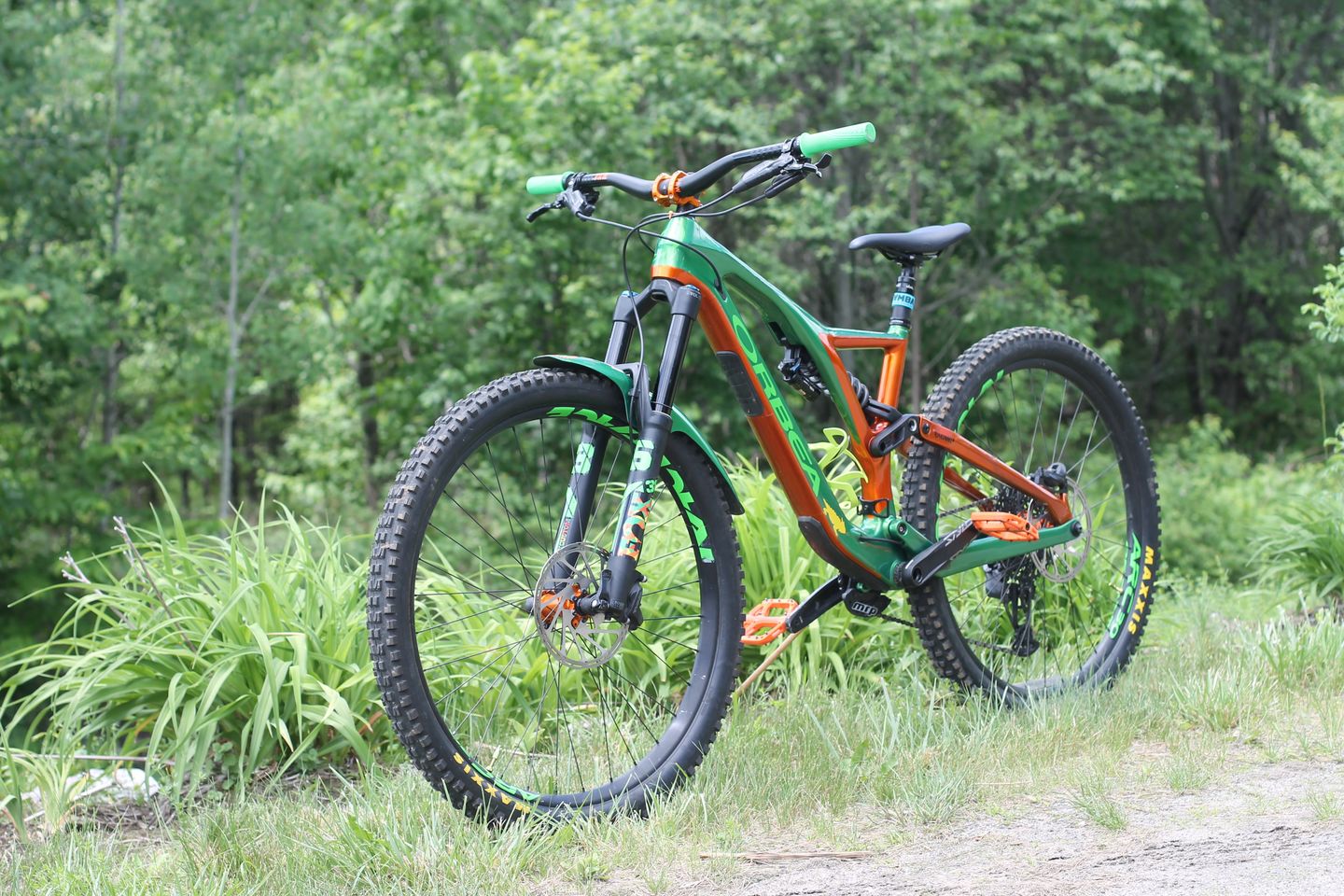 Customer photo review of Custom Fox 36 Decal