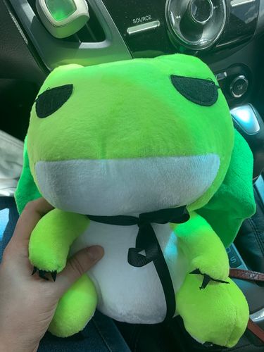 Customer photo review of Travel Frog®