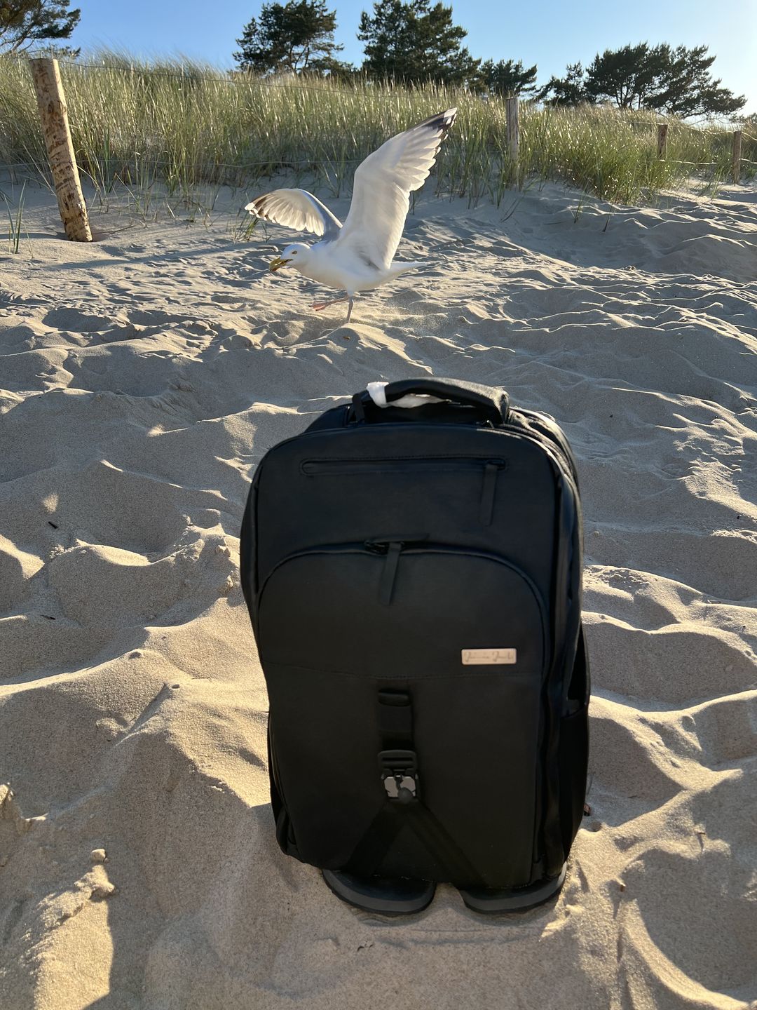 Customer photo review of Backpack – optional with laptop compartment (Tech-Sleeve)
