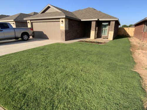 Customer photo review of 18-0-1 GreenePunch