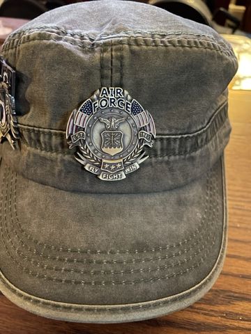 Customer photo review of US Air Force Veteran's Day Pin