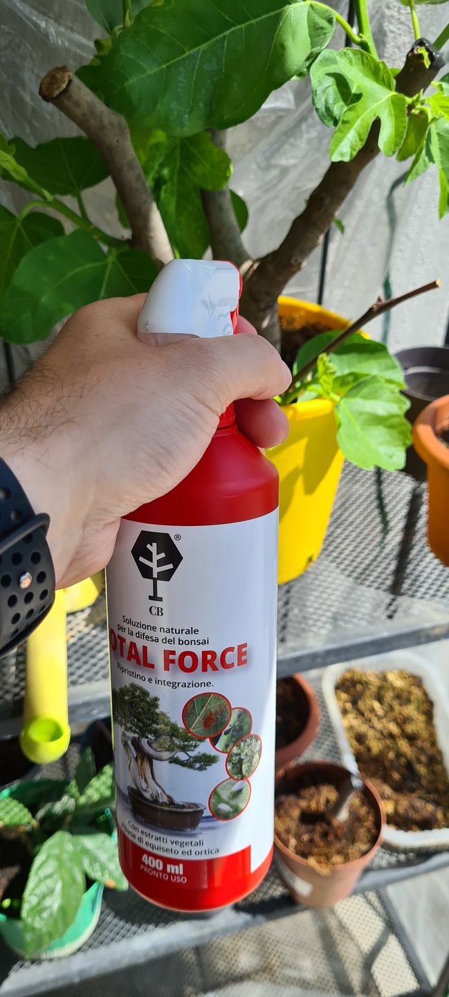 Customer photo review of TOTAL FORCE CB® X3