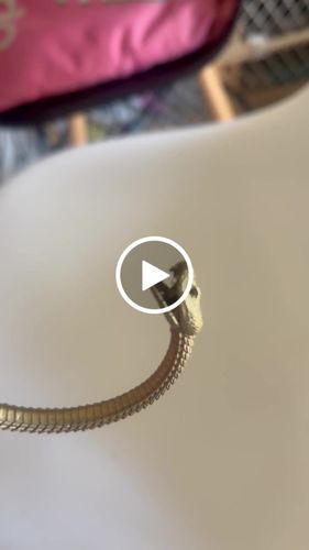 Customer video review of Brass Ouroboros Bracelet