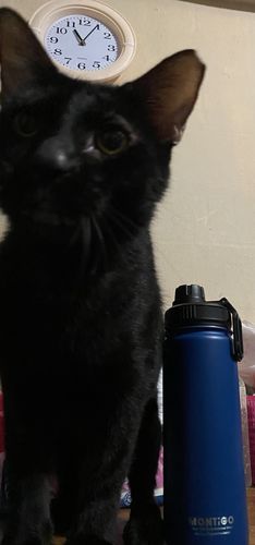 Customer photo review of 18oz Ace Bottle 530ml