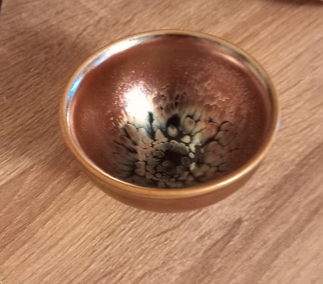 Customer photo review of Succulent