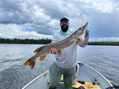 Customer photo review of Headbanger FireTail 7"