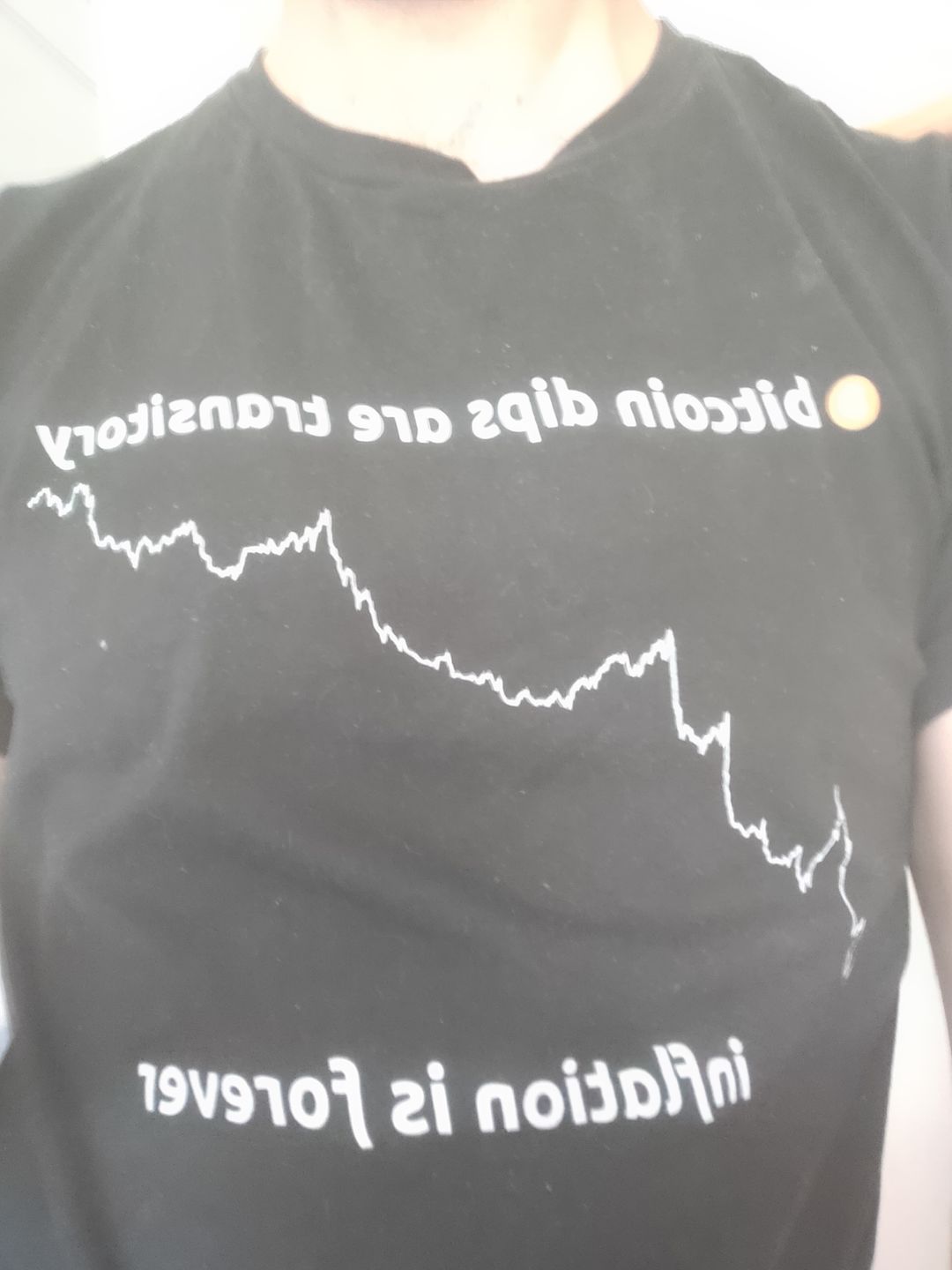 Customer photo review of Bitcoin Dips Are Transitory T-Shirt