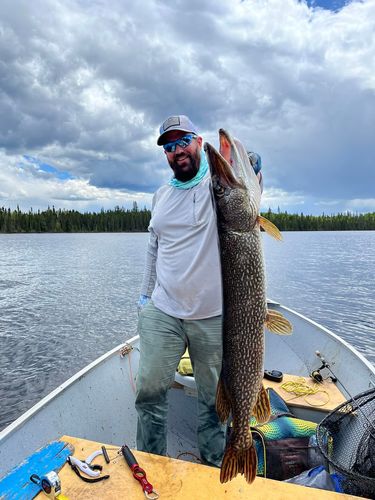 Customer photo review of Headbanger FireTail 7"