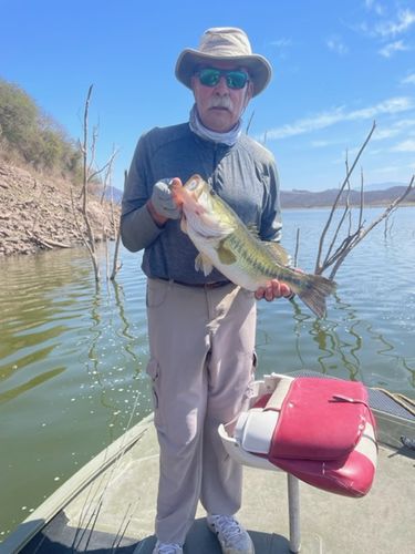 Customer photo review of 97% Density Tungsten Free Rig Skinny Drop Shot Weights | 10 Pack | Round Eye Free Rig Weights