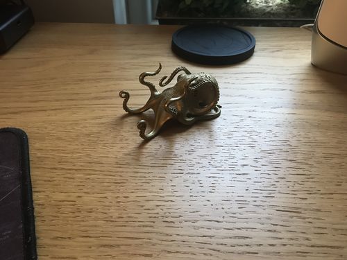 Customer photo review of Octopus Holder Desk Accents | Bronze