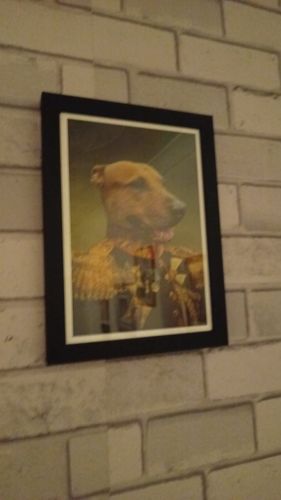 Customer photo review of The General - Custom Vintage Pet Portrait