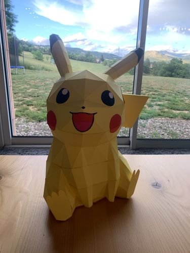 Customer photo review of Patrons Pikachu (pdf)