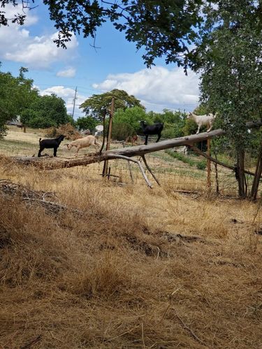 Customer photo review of Medium Roast Ground Coffee