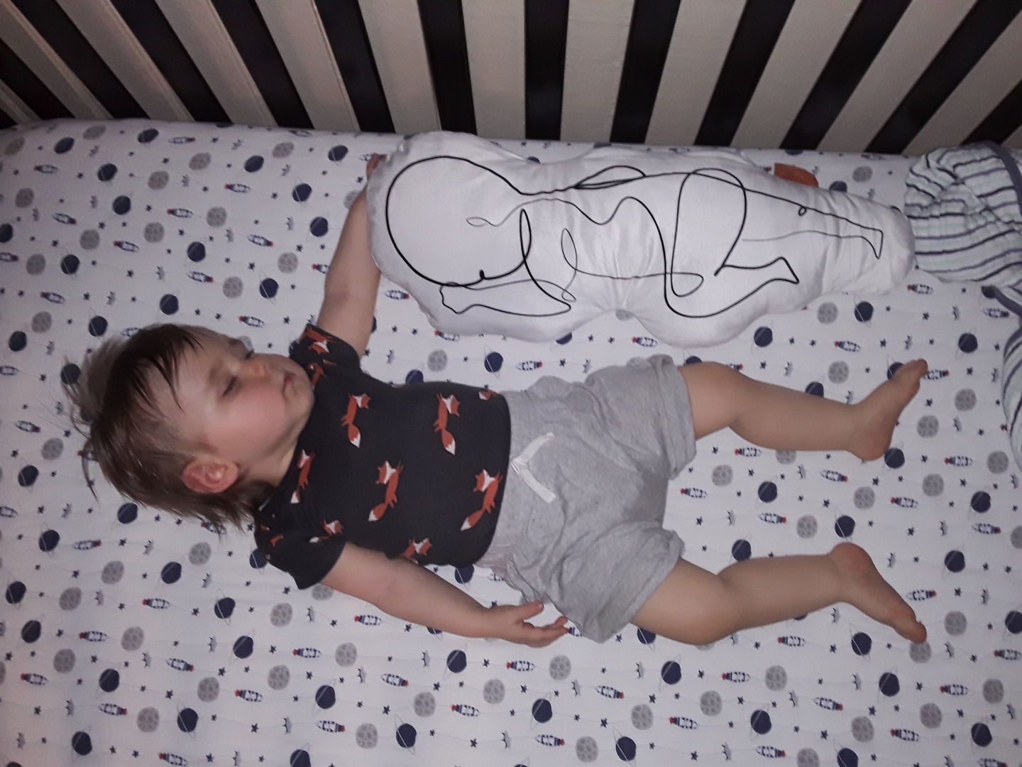 Customer photo review of Birth Pillow Line One