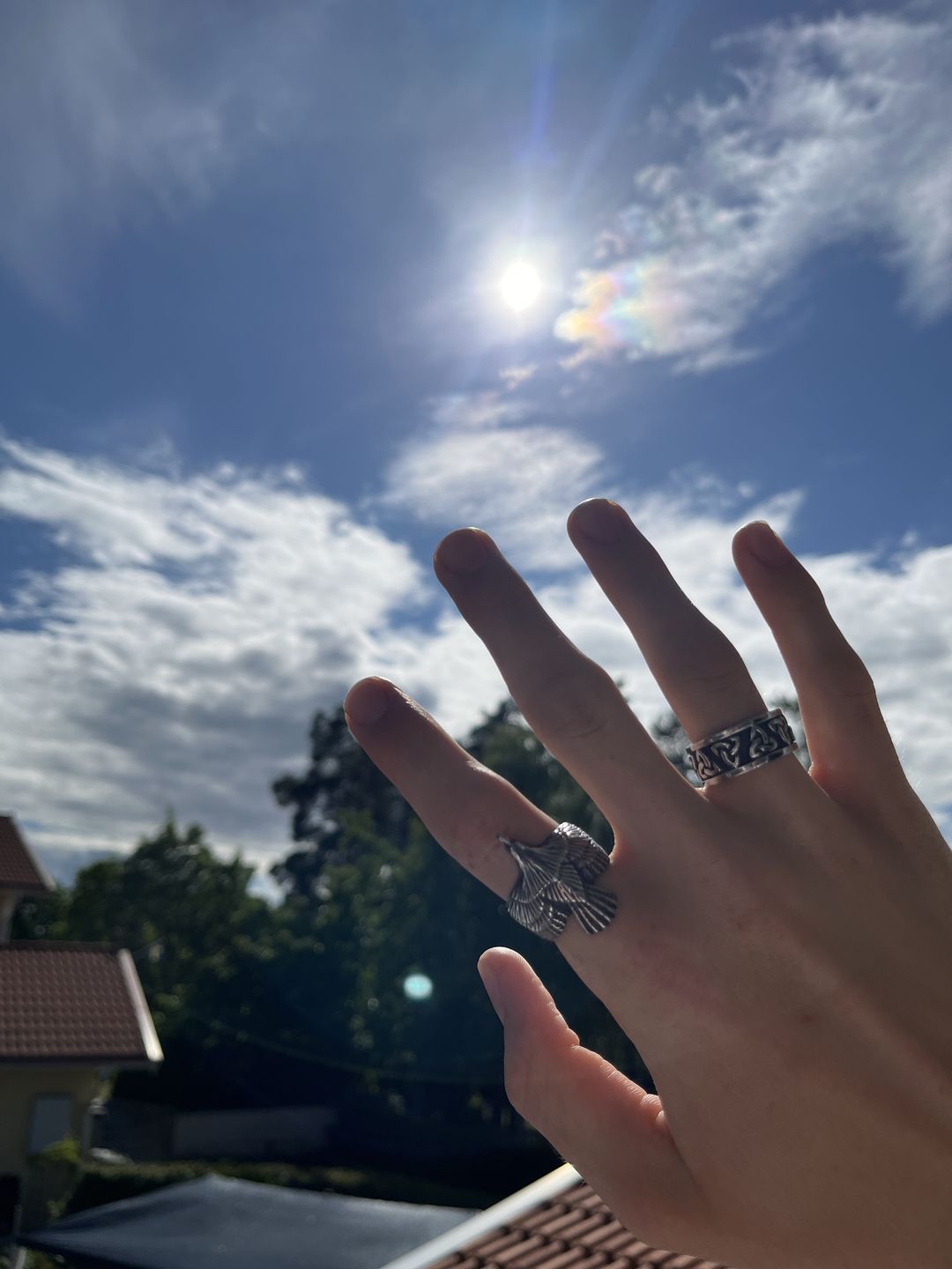 Customer photo review of FREEDOM. - SILVER