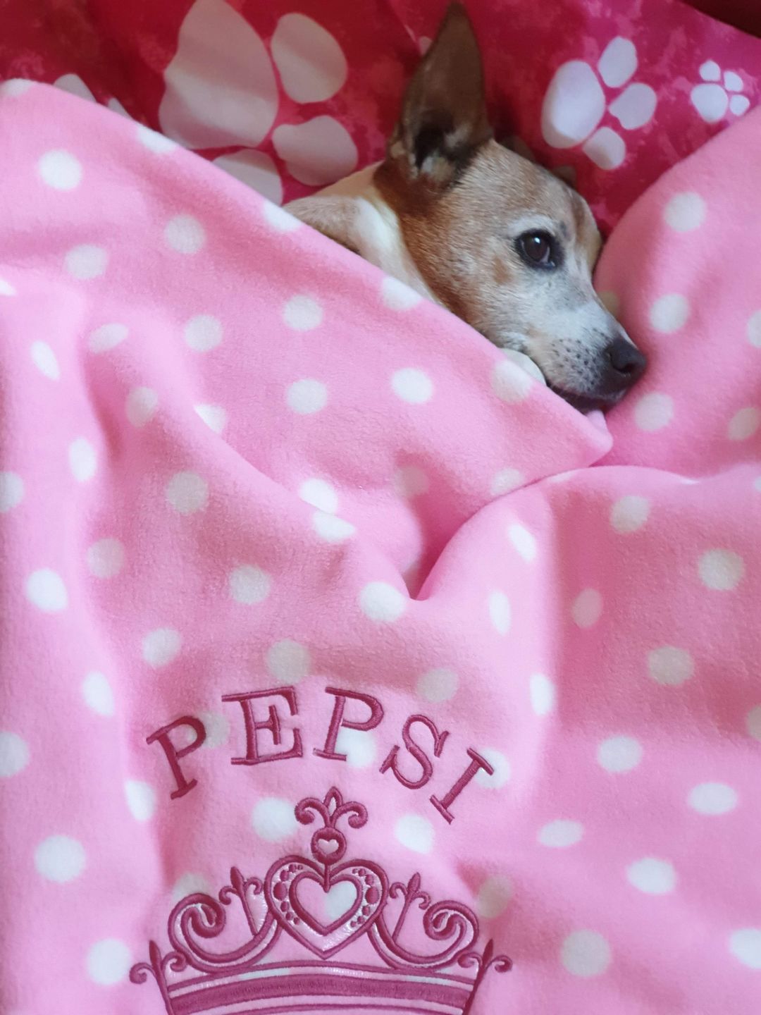 Customer photo review of White Polka Dot Anti Pill Polar Fleece Fabric