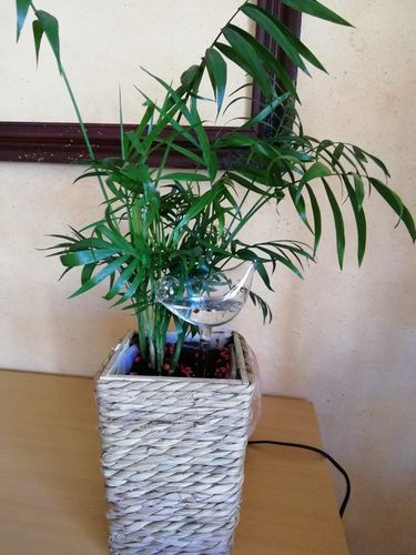 Customer photo review of Mon petit oiseau - Le Jardin de Mamie®