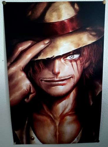 Customer photo review of The Straw Hat Legacy Pt.2