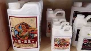Customer photo review of Advanced Nutrients B-52