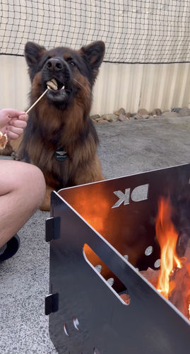 Customer photo review of DK Portable Outdoor Firepit Standard