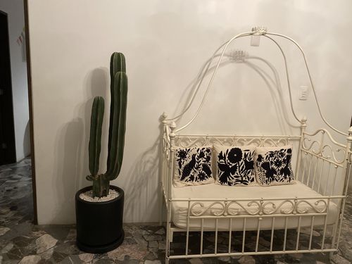 Customer photo review of Cactus Charro