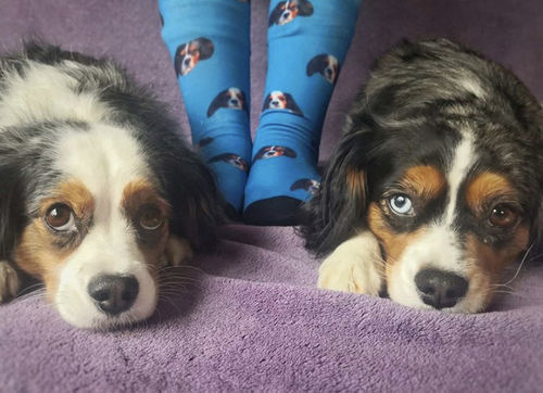 Customer photo review of Personalisierte Hundesocken