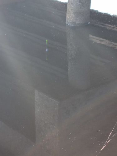 Customer photo review of 10g Smart Fishing Float