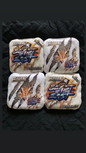 Customer photo review of Beast of the East Light Vengeance - Set of 4