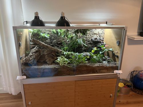 Customer photo review of 4'x2'x2' Meridian Wood Panel Reptile Enclosure