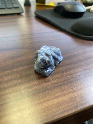 Customer photo review of Sodalite Cat