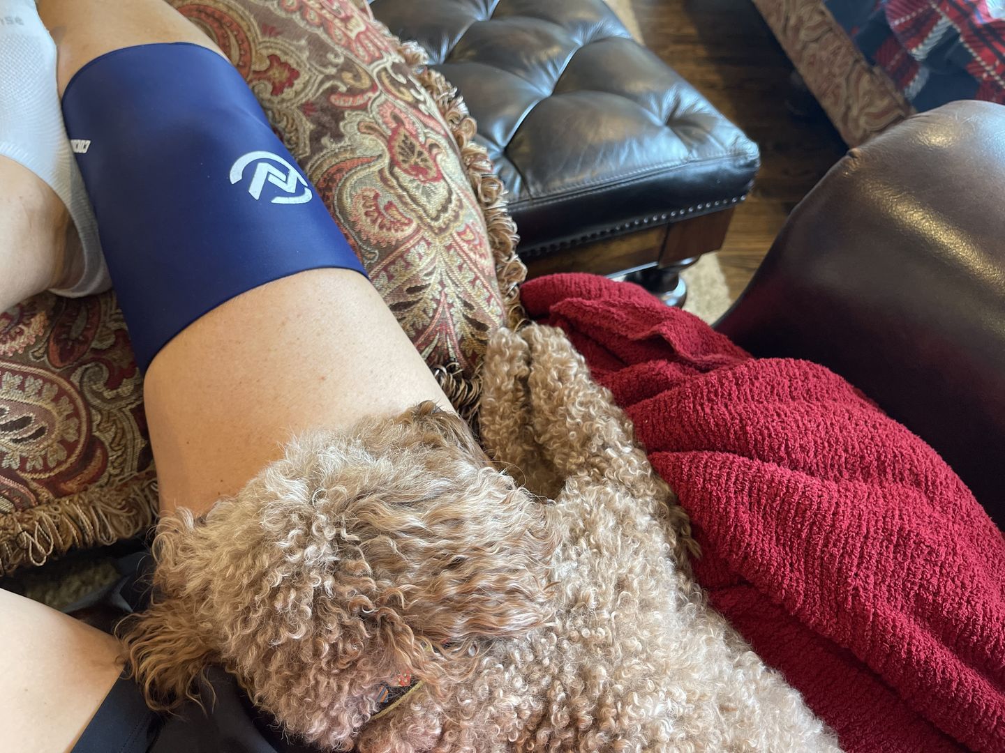 Customer photo review of COCOON KNEE FLEX PRO