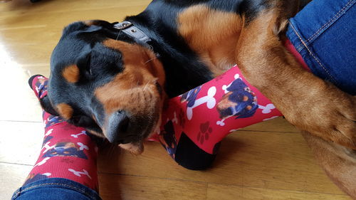 Customer photo review of Personalisierte Hundesocken