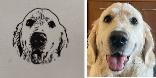 Customer photo review of Self-Inking Face Stamp