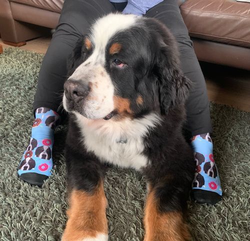 Customer photo review of Personalisierte Hundesocken