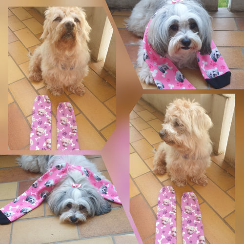 Customer photo review of Personalisierte Hundesocken