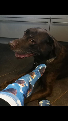 Customer photo review of Personalisierte Hundesocken
