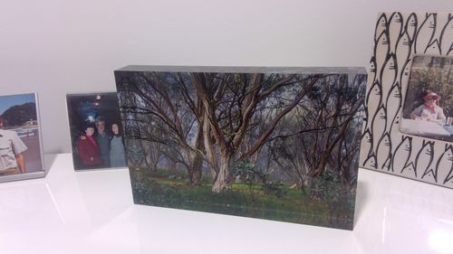 Customer photo review of 15 x 23 cm Free Standing Acrylic Photo Block