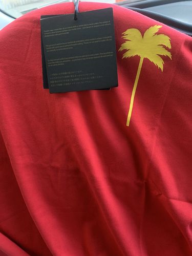 Customer photo review of PALM ANGELS Simplicity T-Shirt