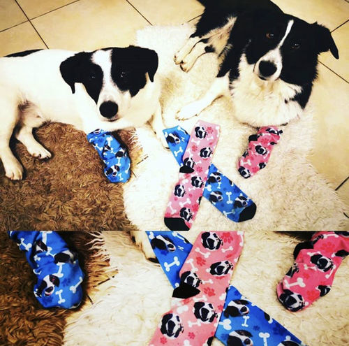 Customer photo review of Personalisierte Hundesocken