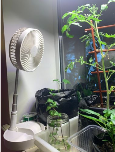 Customer photo review of Ventil'Air® | Ventilateur portable 3 en 1