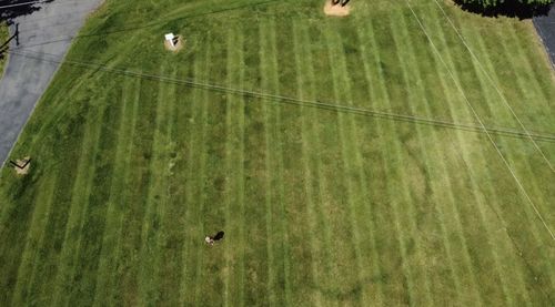 Customer photo review of Cool Season Lawn Care Guide