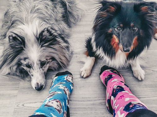 Customer photo review of Personalisierte Hundesocken