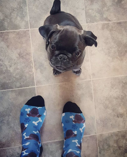 Customer photo review of Personalisierte Hundesocken