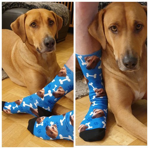 Customer photo review of Personalisierte Hundesocken