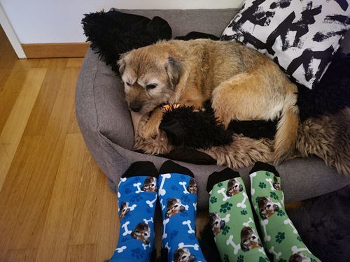 Customer photo review of Personalisierte Hundesocken