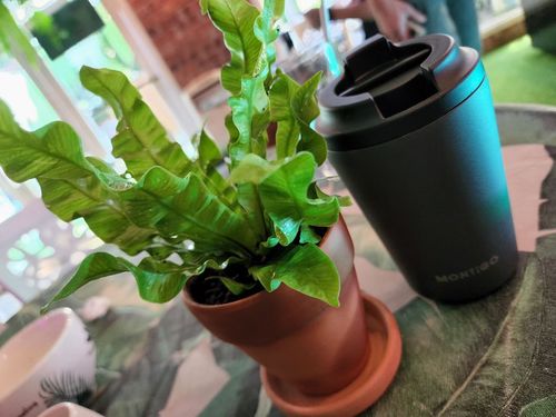 Customer photo review of 12oz Sense Coffee Cup 340ml