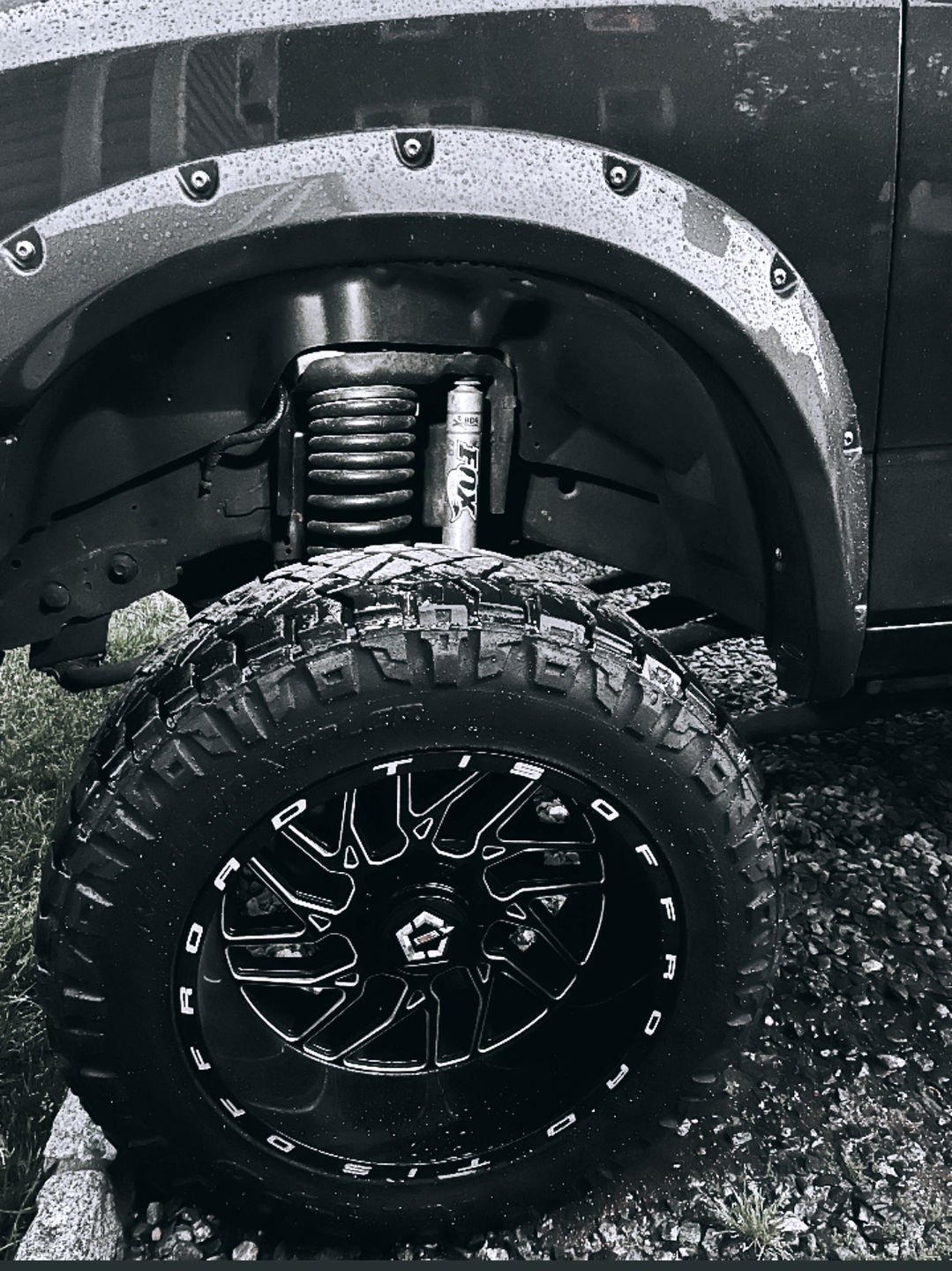 Customer photo review of Wheel Cleaner