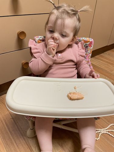 Customer photo review of Paloma baby chair v2