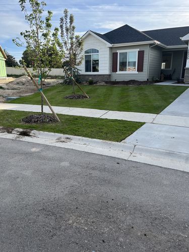 Customer photo review of Cool Season Lawn Care Guide and Cool Season Renovation Guide Combo