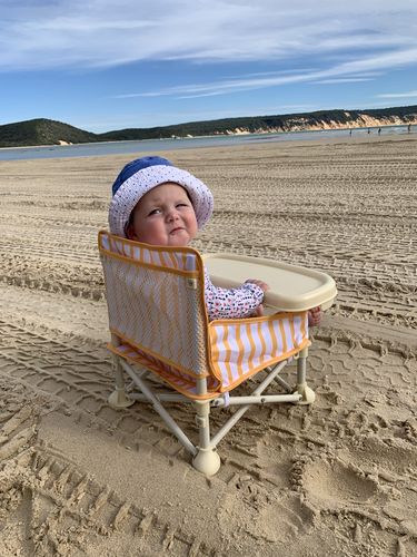 Customer photo review of Brighton baby chair v2